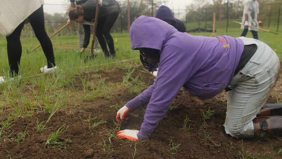 Event recap video for a volunteer community garden